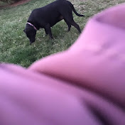 Quinn Robinson - Youtube Profile Picture of Quinn Robinson (@QuinnRobinson-k5y) on Youtube