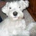Profile Picture of GordNancy McNeice (@gordmcneice) on Pinterest