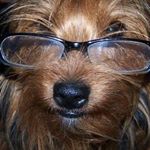 Profile Picture of Curt Todd (@curt.todd.3) on Instagram