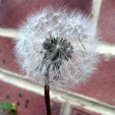 Profile Picture of Eileen Lin (@eileenlin217) on Twitter