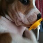 Patricia Stacey - Instagram Profile Picture of Patricia Stacey (@patricia.stacey.37) on Instagram