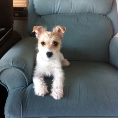 Profile Picture of AIDAN O DWYER (@AIDAN_O_DWYER) on Twitter