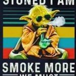Profile Picture of Damien Cox (@nattydreadlock75) on Instagram
