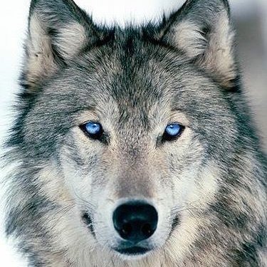 Profile Picture of Richard Parenteau (@richard59960604) on Twitter