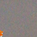 Profile Picture of Justin (@justinlinstad) on Instagram