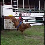 Profile Picture of Johan Alvarado (@johan.alvarado.923) on Instagram