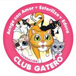 Profile Picture of Club Gatero (@clubgatero) on Instagram