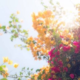 Profile Picture of Maryori Aliaga de Pablo (@maryorialiaga) on Pinterest