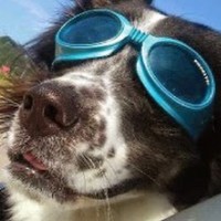 Profile Picture of Erik Arthur (@erik-arthur-2) on Quora