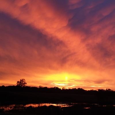 Profile Picture of Denah (@DenahSheaKnight) on Twitter