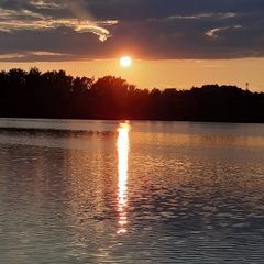 Profile Picture of thomasrieck8 (@thomasrieck8) on Tiktok