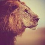 Profile Picture of Lucy Adler (@lucy_adler) on Instagram