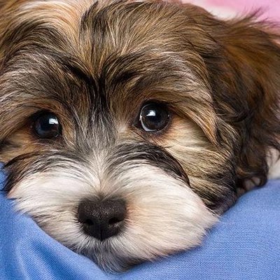 Profile Picture of Richard Ferdin (@Richard_ftp) on Twitter