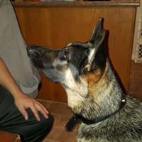 Profile Picture of Kelly Getz (@kelly-getz-1) on Quora