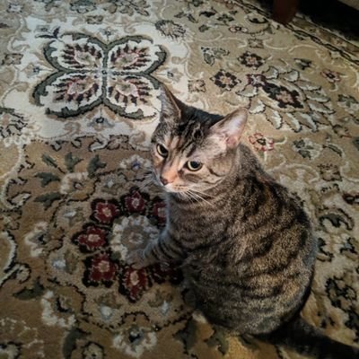Profile Picture of Scott Knepper (@ScottKnepper6) on Twitter