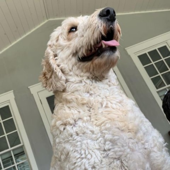 Profile Picture of Jamie Travis (@jamisontravis) on Poshmark