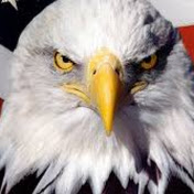 David Danford - Youtube Profile Picture of David Danford (@dndanford) on Youtube