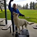 Profile Picture of Janet Bates (@janet.bates.14) on Instagram
