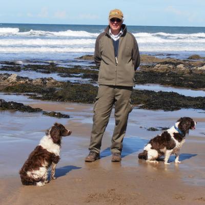 Profile Picture of David Manifold (@zimmany) on Twitter