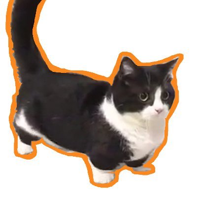 Profile Picture of Oskar Scott (@Short_Cat69) on Twitter