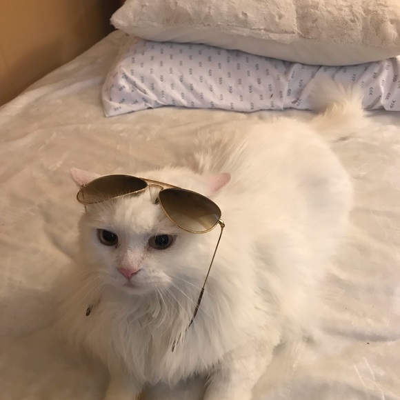 Profile Picture of Adele Abella (@adel803579) on Poshmark