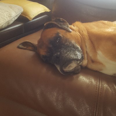 Profile Picture of Lorraine Keating (@LorraineKeatin5) on Twitter