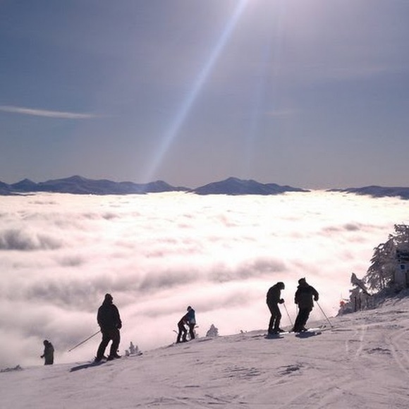 Profile Picture of Rob Resto (@snowbrolg) on Poshmark