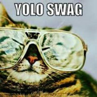 Profile Picture of Steven Haugen (@HaugenSteven) on Twitter