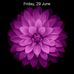 Profile Picture of Arastein Paul (@arastein.paul) on Facebook