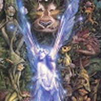 Profile Picture of Fae Theory Missing 411 (@fae-theory-missing-411) on Quora