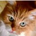 Profile Picture of Marilu Cardill (@marilu.cardill.5) on Facebook