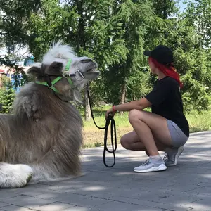 Profile Picture of Даша (@evstifeevad) on Tiktok
