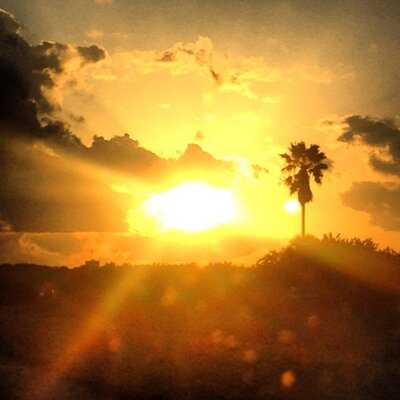Profile Picture of Alissa Matthews (@AlissaMMatthews) on Twitter