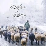 Ali Alshawi - Instagram Profile Picture of Ali Alshawi (@ali.alshawi.792) on Instagram