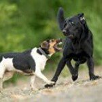 Profile Picture of Ethan McCune (@fe_fy_fo_fum_here_comes_ethan) on Instagram