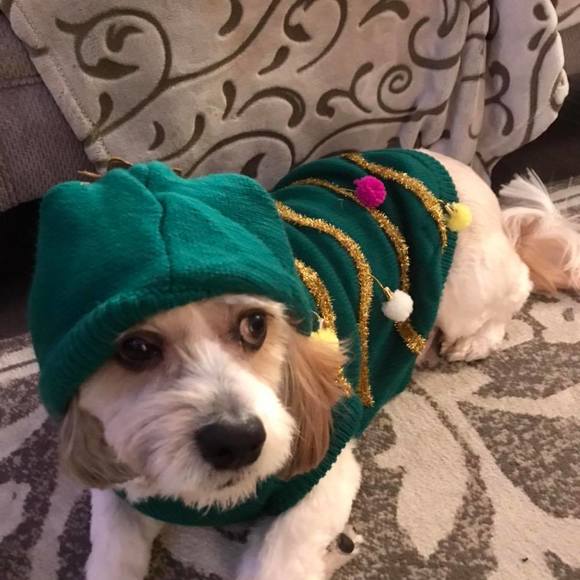 Profile Picture of Emmy Lakeman (@emmy72578) on Poshmark