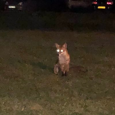 Profile Picture of Mike Lambert (@mike_lambert) on Twitter