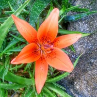 Profile Picture of Jon Luck (@jon-luck-1) on Quora