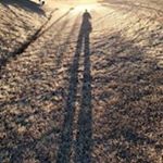 Profile Picture of Barry Soloff (@bfromgalaxy2) on Instagram