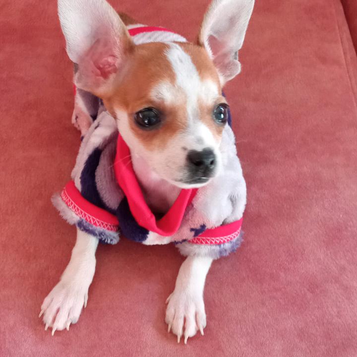 Profile Picture of Carlos arenas (@@horleison) on Tiktok