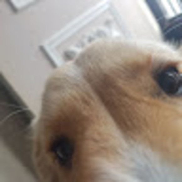 Profile Picture of Erica Blohm (@bambibasher2005) on Poshmark