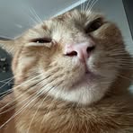 Profile Picture of Ivanov Eduard (@ivanov.eduard.349404) on Facebook