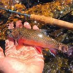 Profile Picture of Rob Newman (@feltsoul) on Instagram