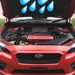 Profile Picture of Phuc Vong (@ruined_wrex) on Instagram