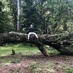 Profile Picture of Daniel Childs (@dbchilds23) on Instagram