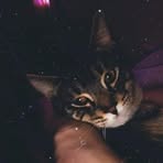 Profile Picture of Blake Stow (@Blake-Stow) on Facebook