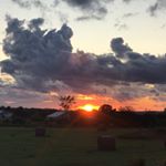 Profile Picture of The Fieldhouse (Alex & Peter) (@1594fieldhouse) on Instagram