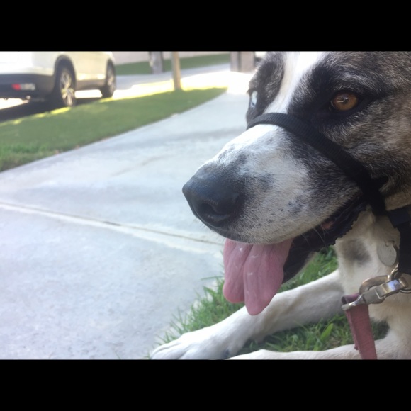 Profile Picture of Cali Edora (@calpaly) on Poshmark