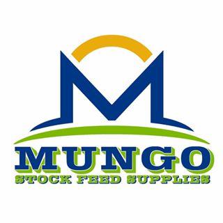 Profile Picture of Scott Jacobson (Mungo Mills) (@mungo.mills.9) on Facebook
