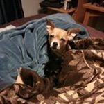 Profile Picture of Beth Siebert (@racegirl145) on Instagram